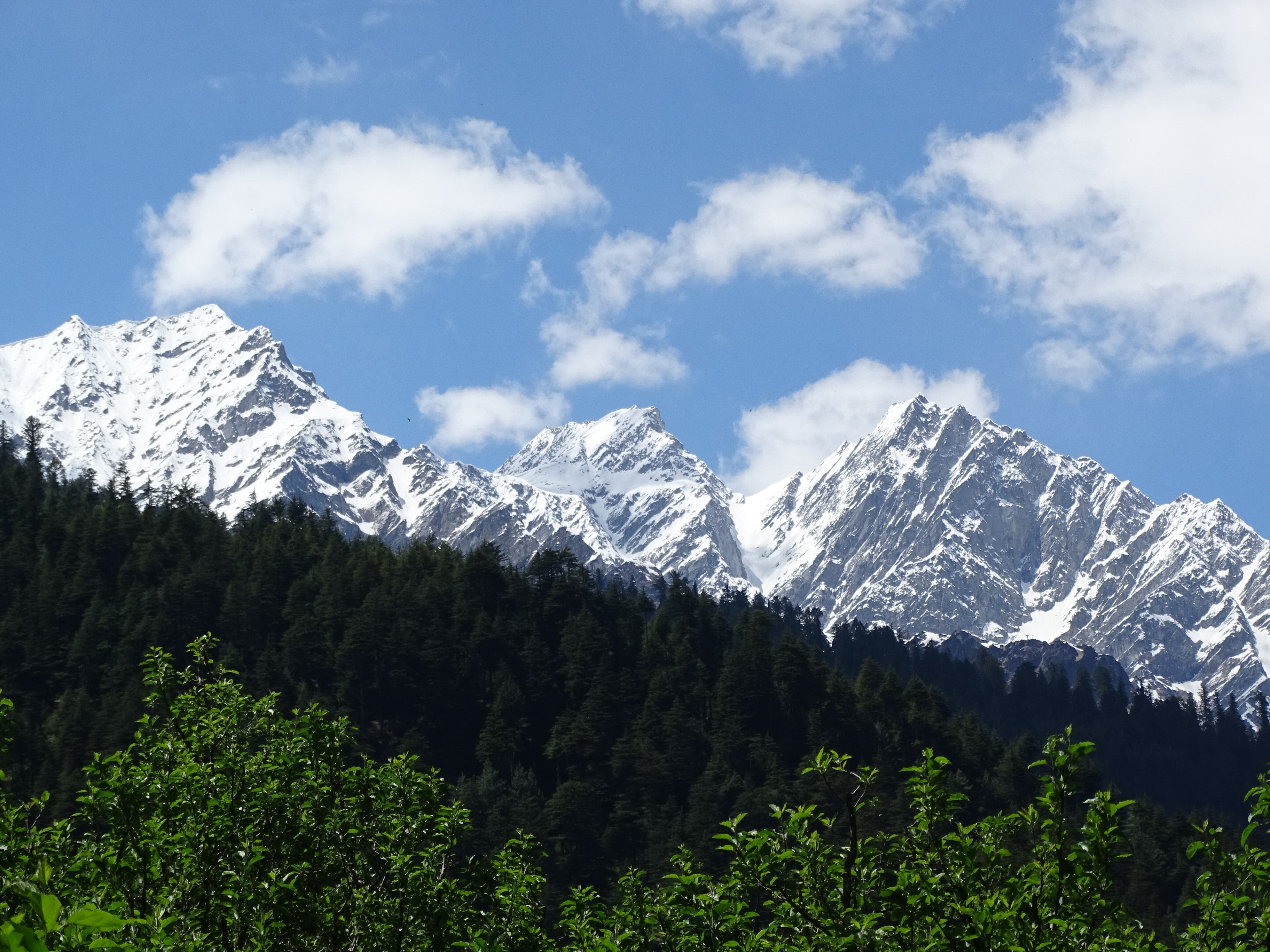 Manali